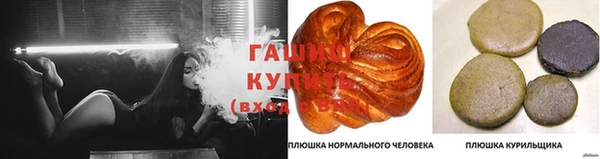 эйфоретик Аркадак