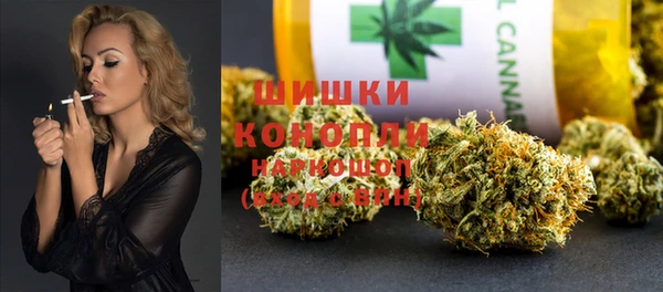 крисы Армянск
