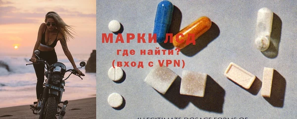 эйфоретик Аркадак